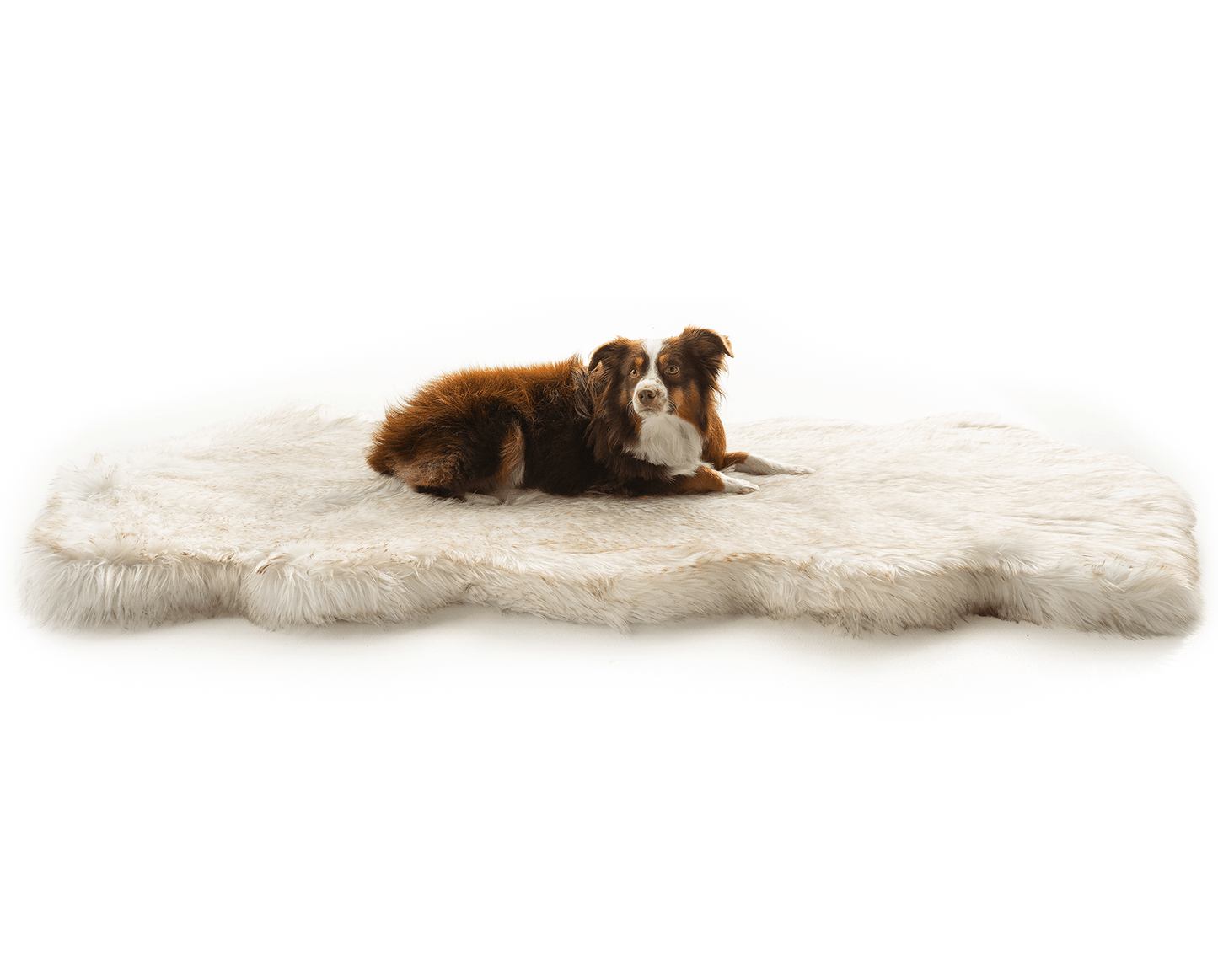 Pup Rug® Runner Faux Fur Memory Foam Dog Bed - Curve White with Brown Accents