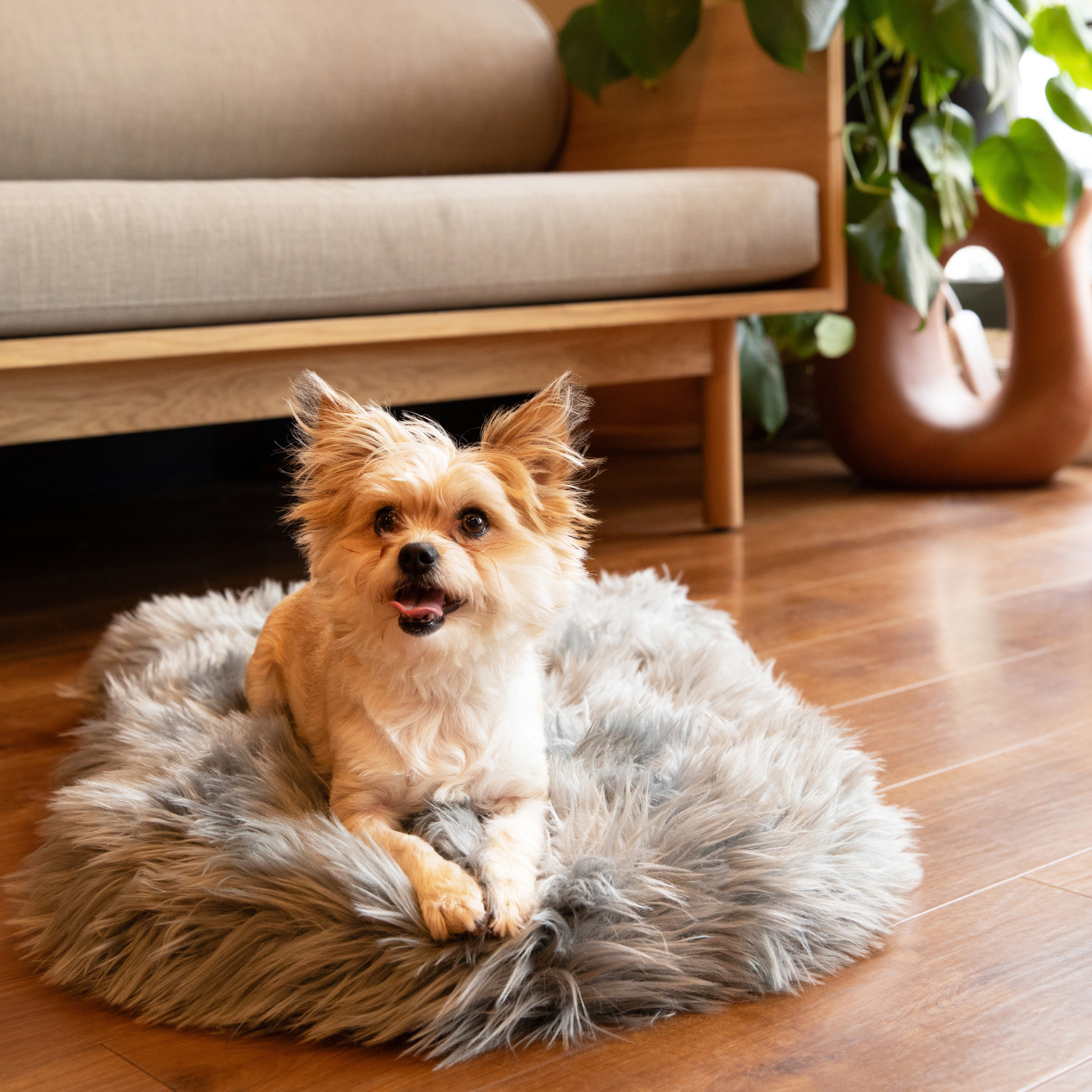 PupRug by Paw.com® Faux Fur Orthopedic Dog Bed - Curve Charcoal Grey