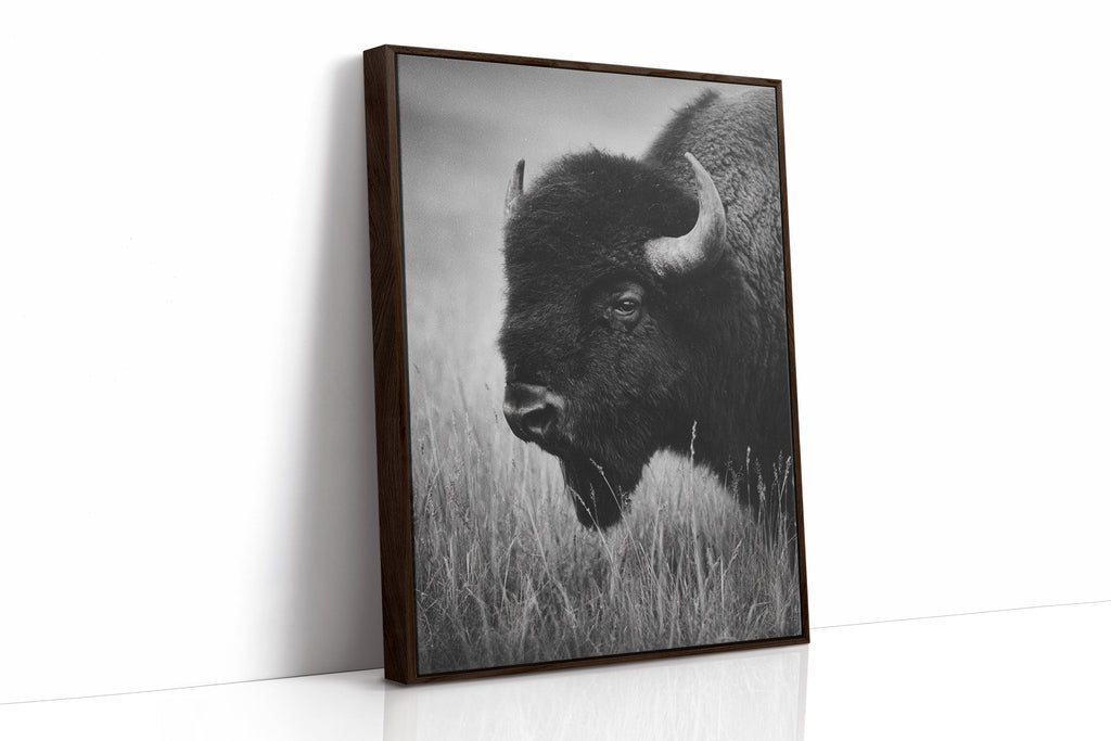 Eyes of the Prairie