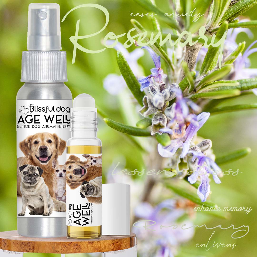 Old Friends Age Well Dog Aromatherapy