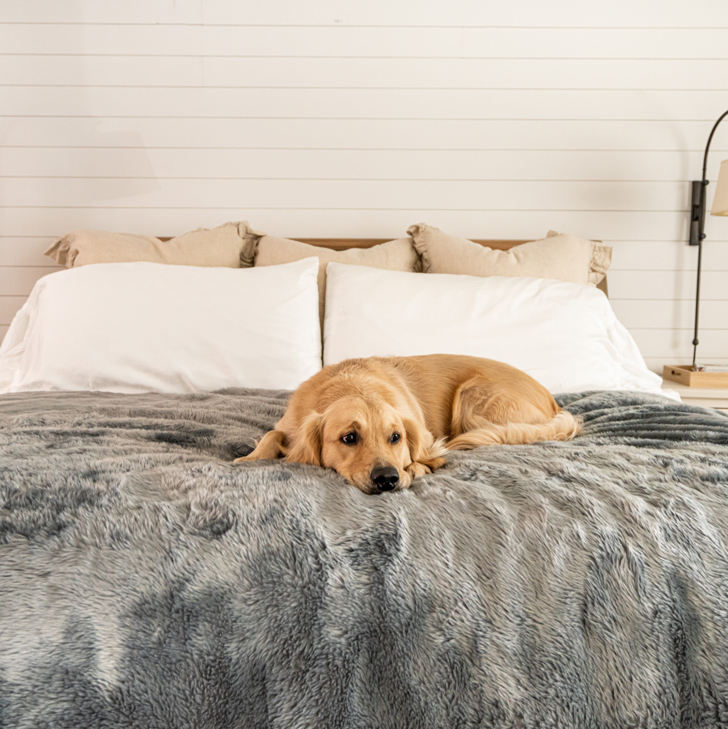 PupProtector™ Summer Short Fur Waterproof Throw Blanket - Charcoal Grey