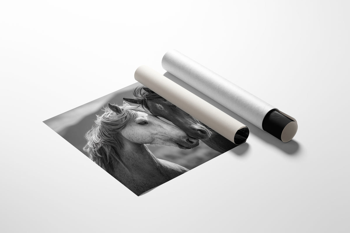 Whispered Secrets