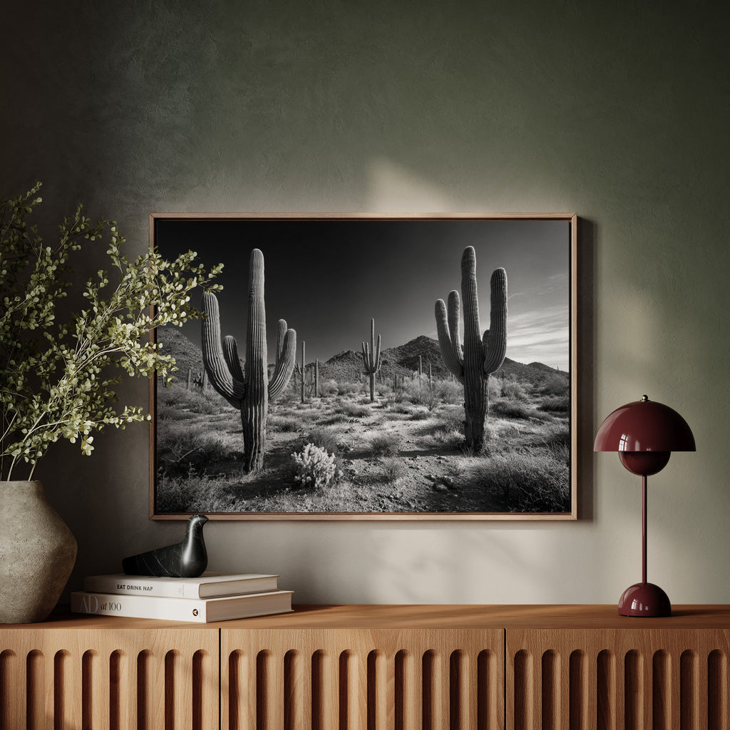 Sentinels of the Sonoran