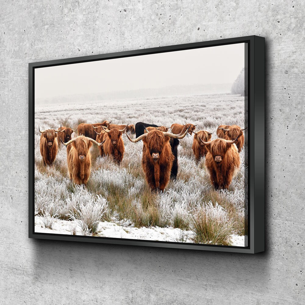Highland Cows Canvas Wall Art