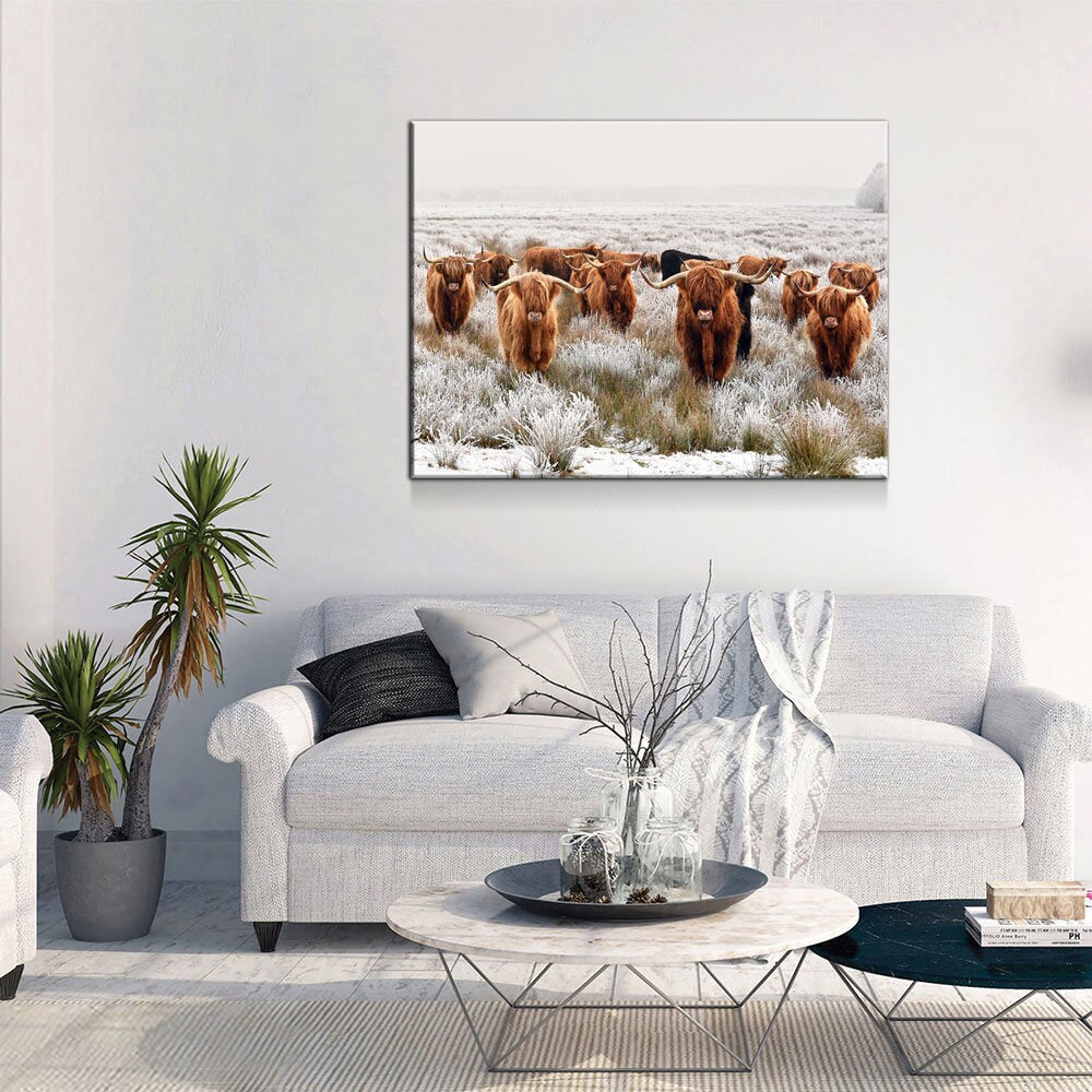 Highland Cows Canvas Wall Art