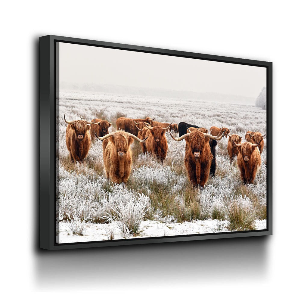 Highland Cows Canvas Wall Art