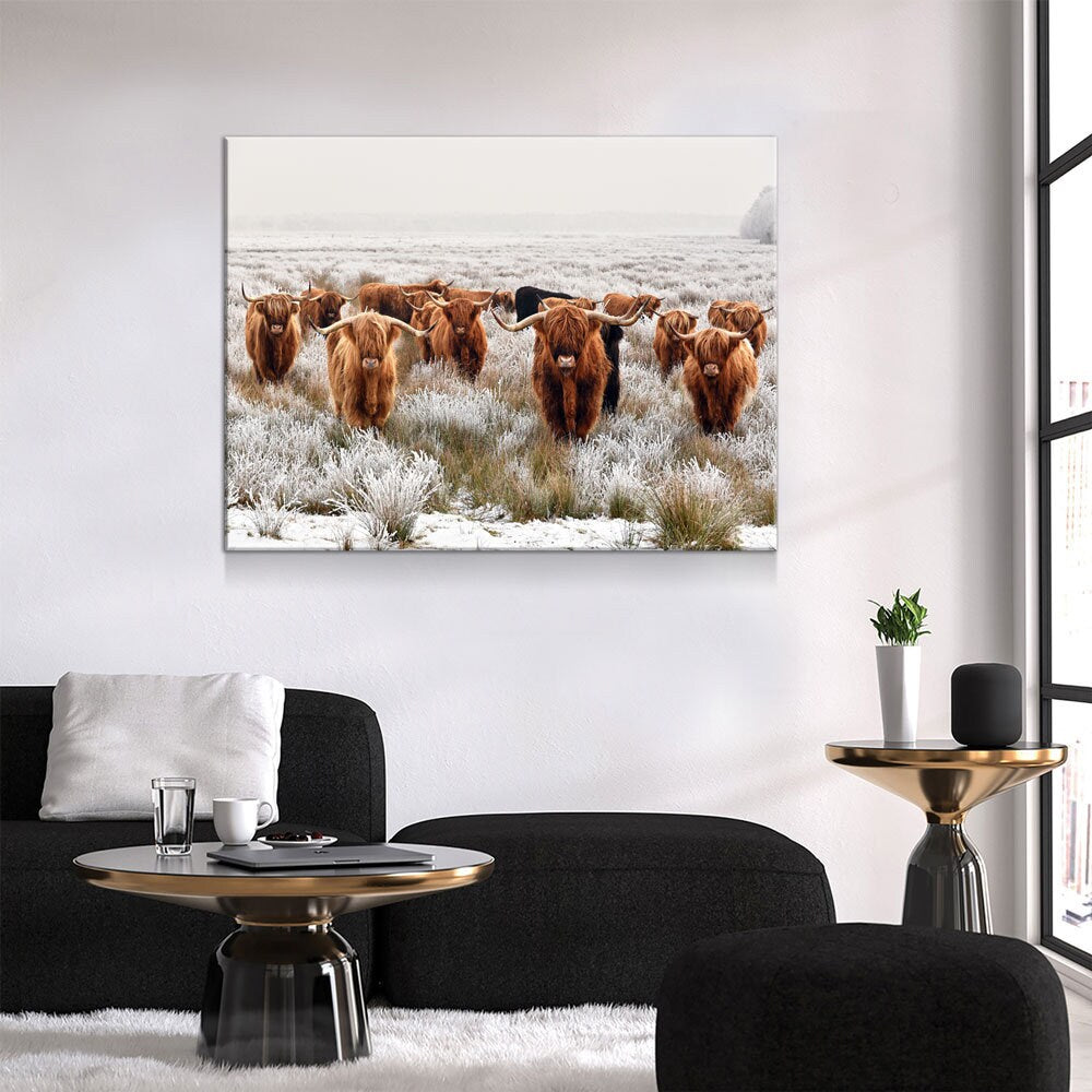 Highland Cows Canvas Wall Art