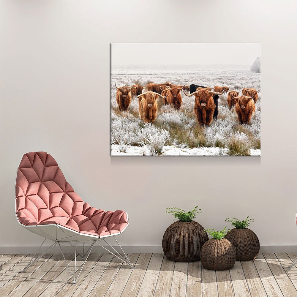 Highland Cows Canvas Wall Art