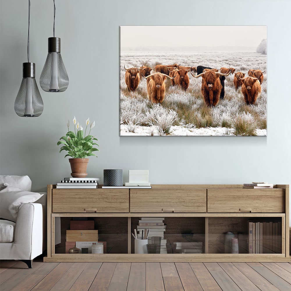 Highland Cows Canvas Wall Art