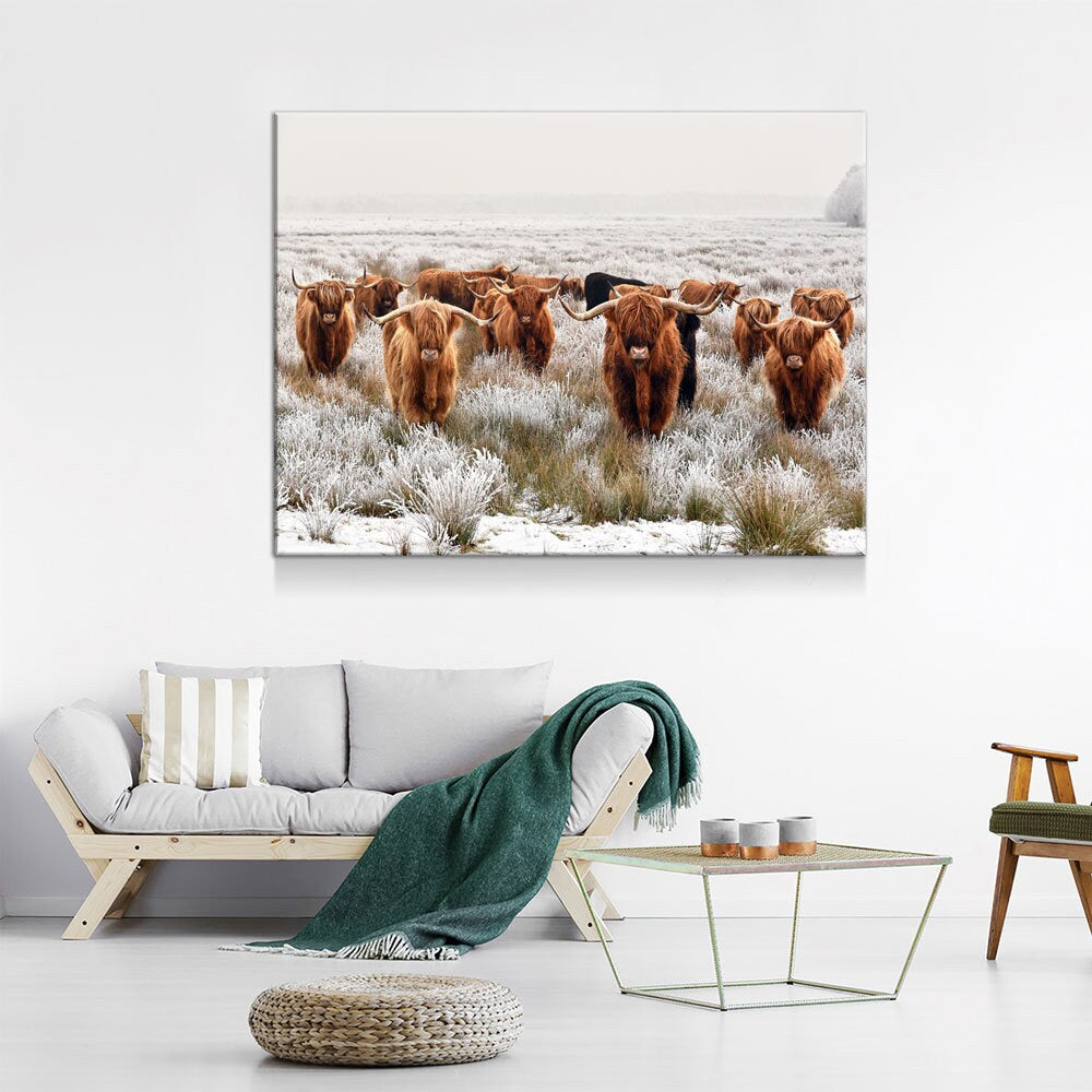 Highland Cows Canvas Wall Art