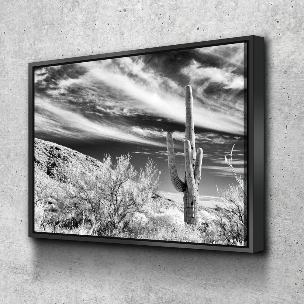 Saguaro Cactus Canvas Wall Art