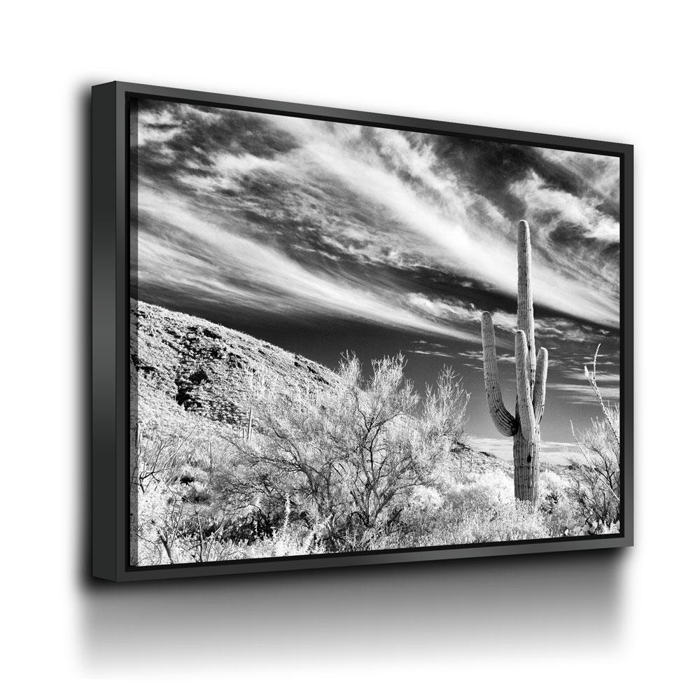 Saguaro Cactus Canvas Wall Art