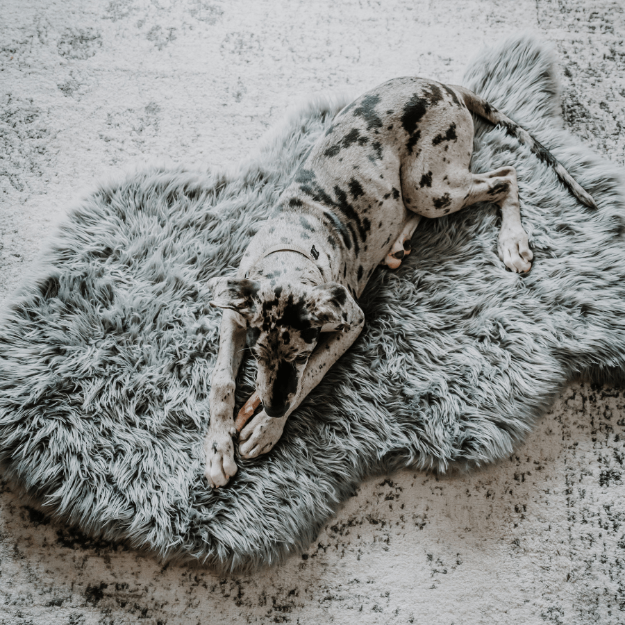 PupRug by Paw.com® Faux Fur Orthopedic Dog Bed - Curve Charcoal Grey