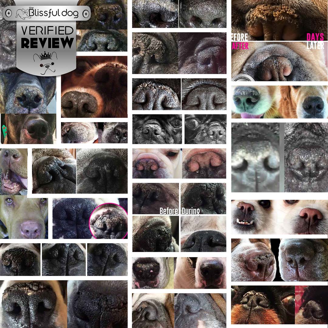 Dog Nose Butter For All Dogs
