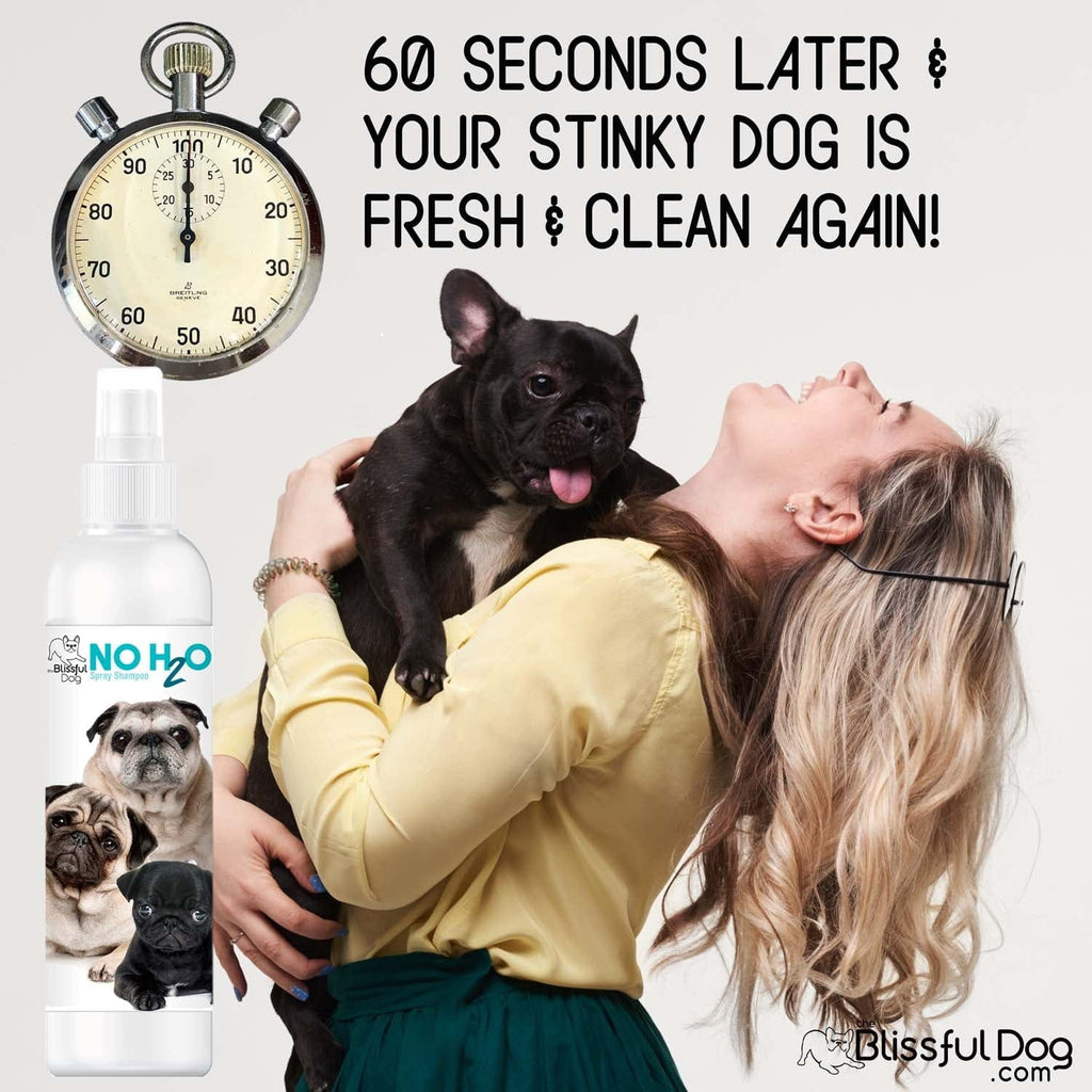 H20 Spray Pet Shampoo