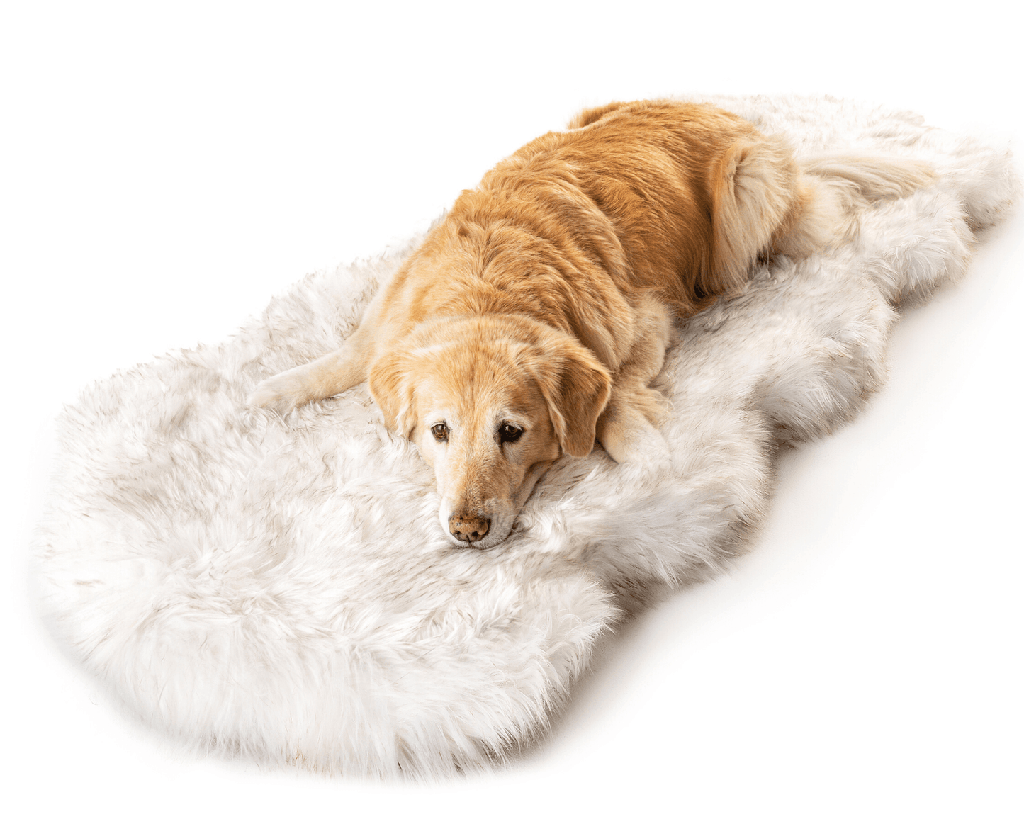 Pup Rug® Runner Faux Fur Memory Foam Dog Bed - Curve White with Brown Accents