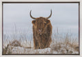 Highlander in Snow