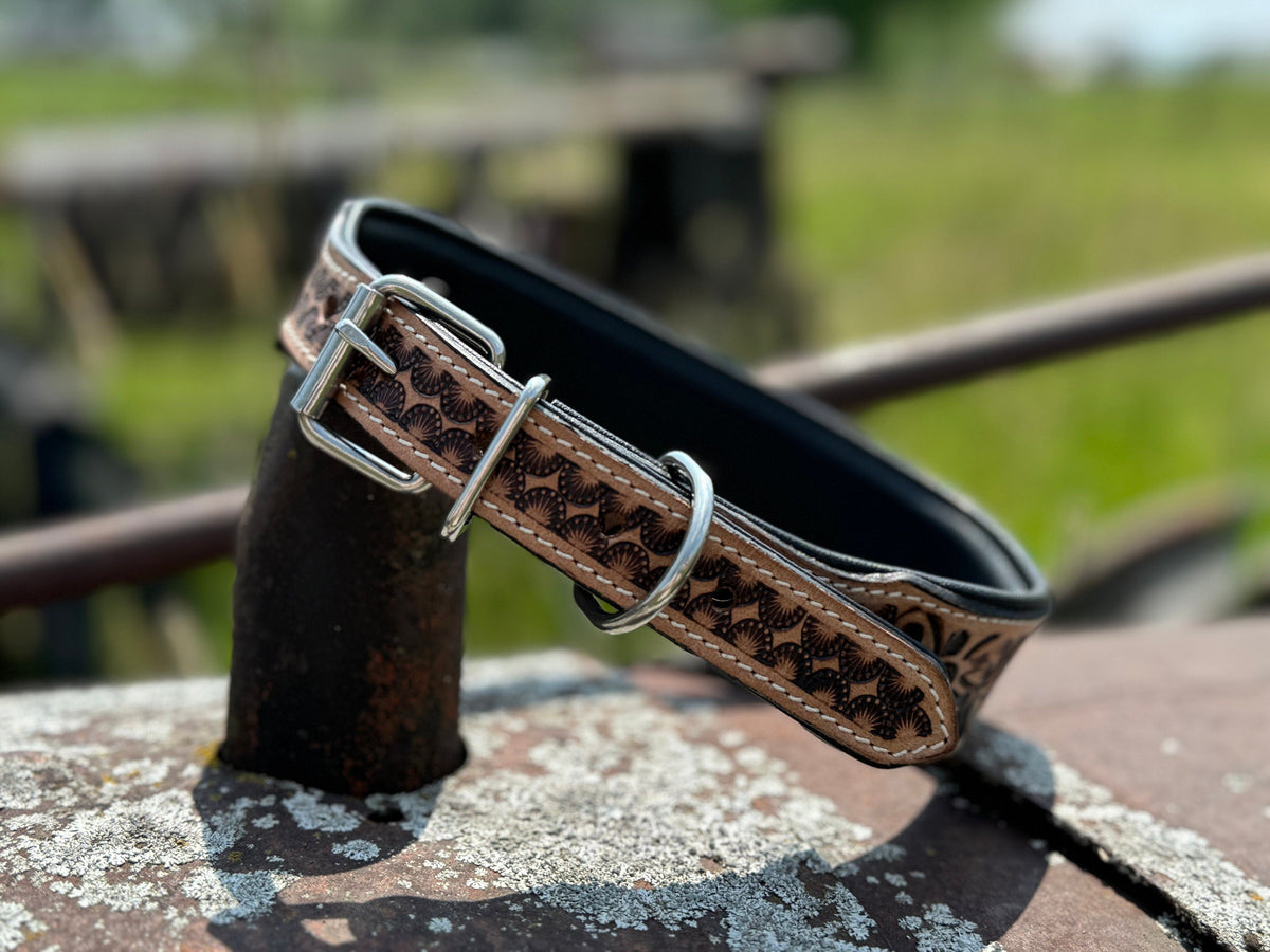 Western leather dog collar tooled