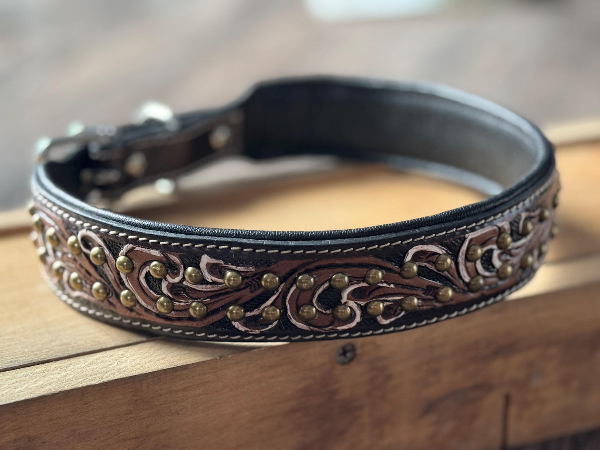 Leather dog collar tooled or beaded details skull sunflower