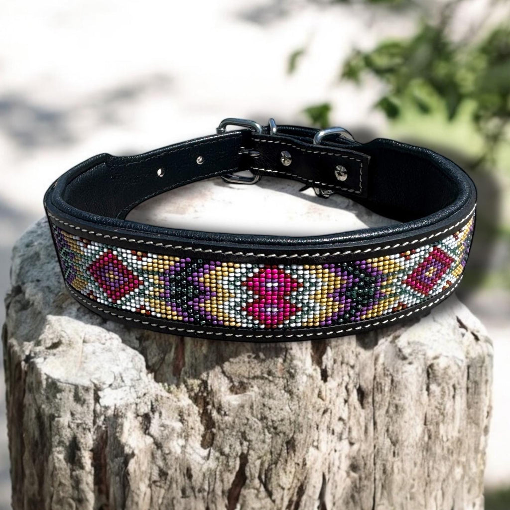 Western leather dog collar tooled