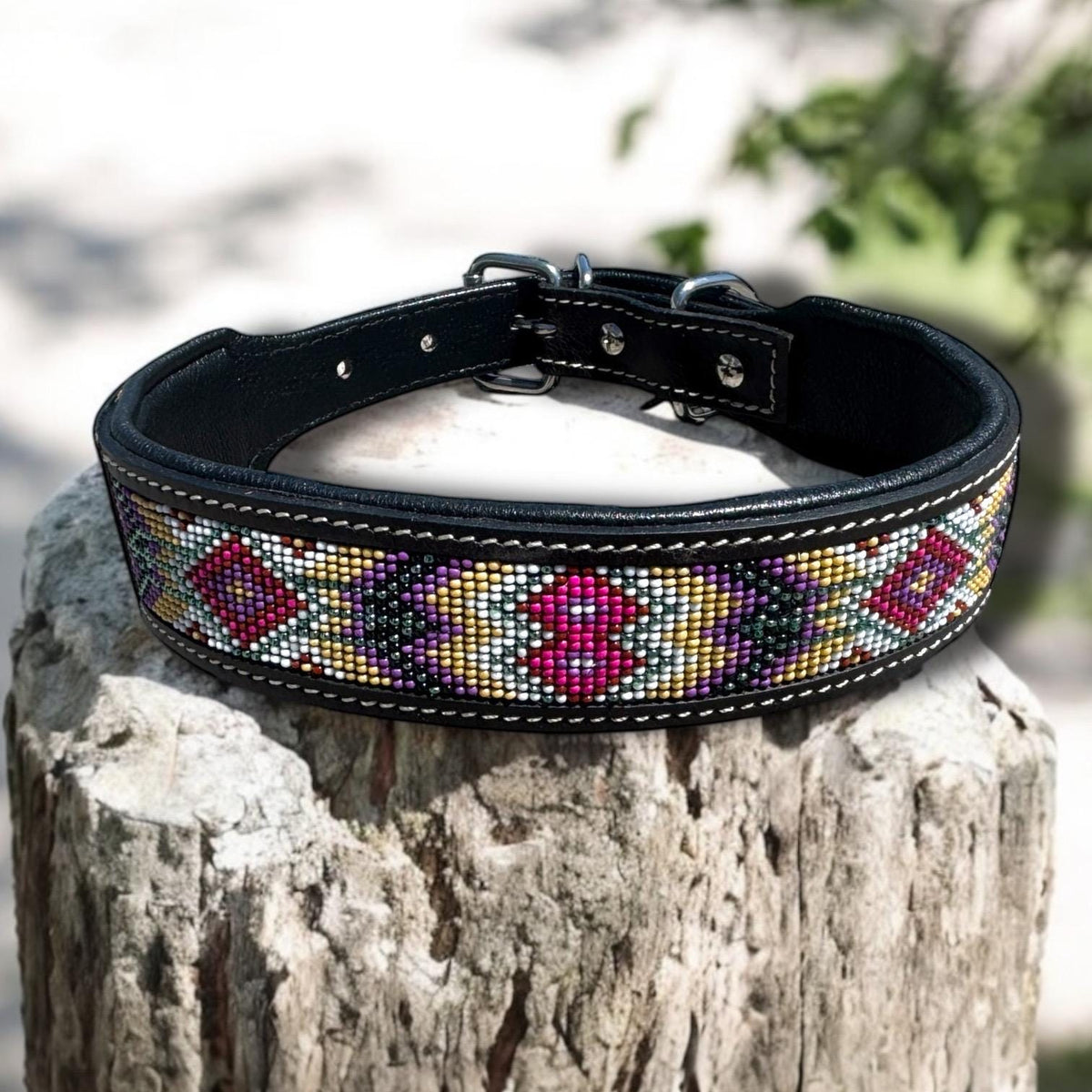 Western leather dog collar tooled