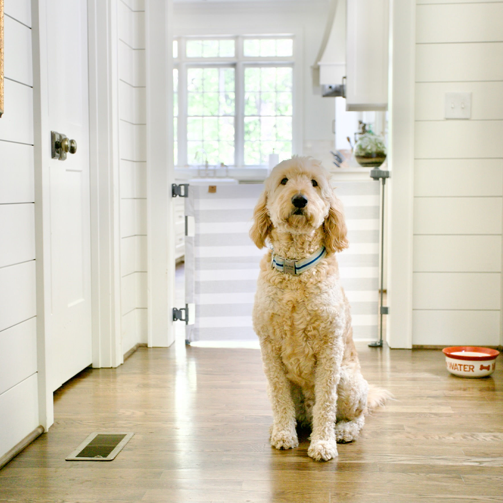 Crypton® Fabric Baby & Pet Safety Gate – Stylish, Stain-Resistant, PFAS-Free | fit openings from 27.6" to 55" wide and stand 33"