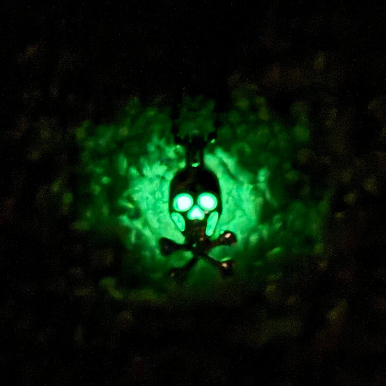 Glowing Skull Charm - Tumbler Handle Charm - The Nifty Little Finds - Charm - The Nifty Little Finds