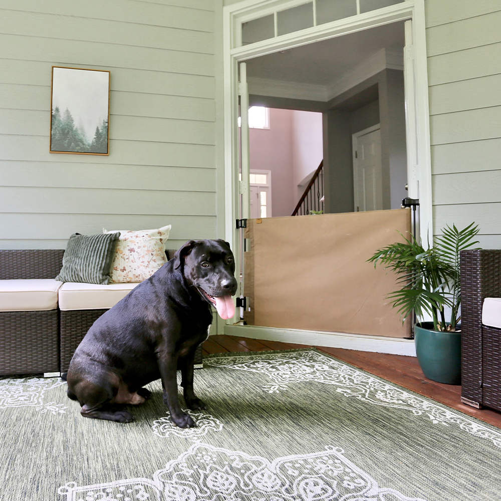 Oil Waxed Canvas Pet Safety Gate